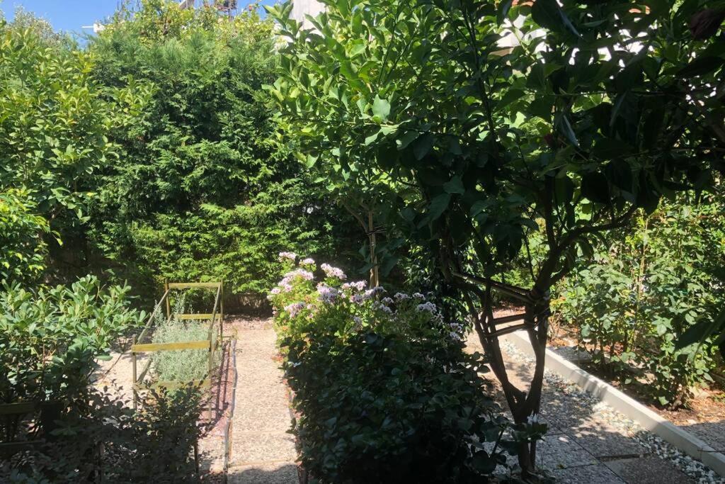 Villa Ανακαινισμενη Μονοκατοικια 125 Τμ Στο Κεντρο Με Κηπο Mesolóngion Exterior foto